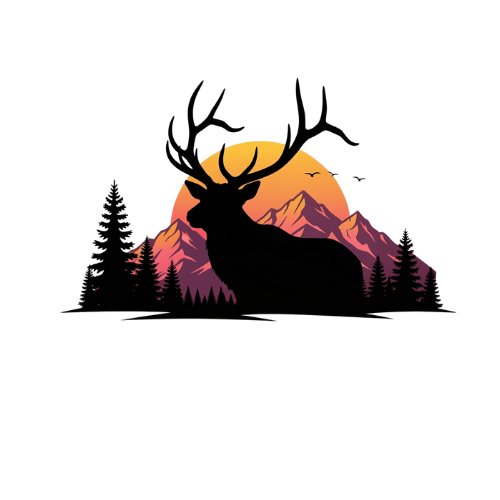 Elevation