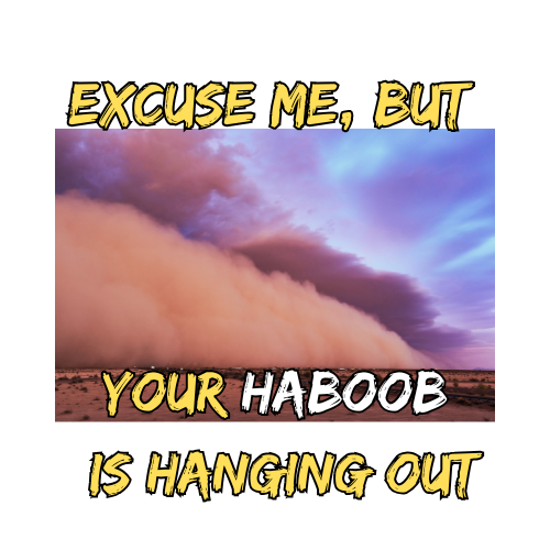 Haboob
